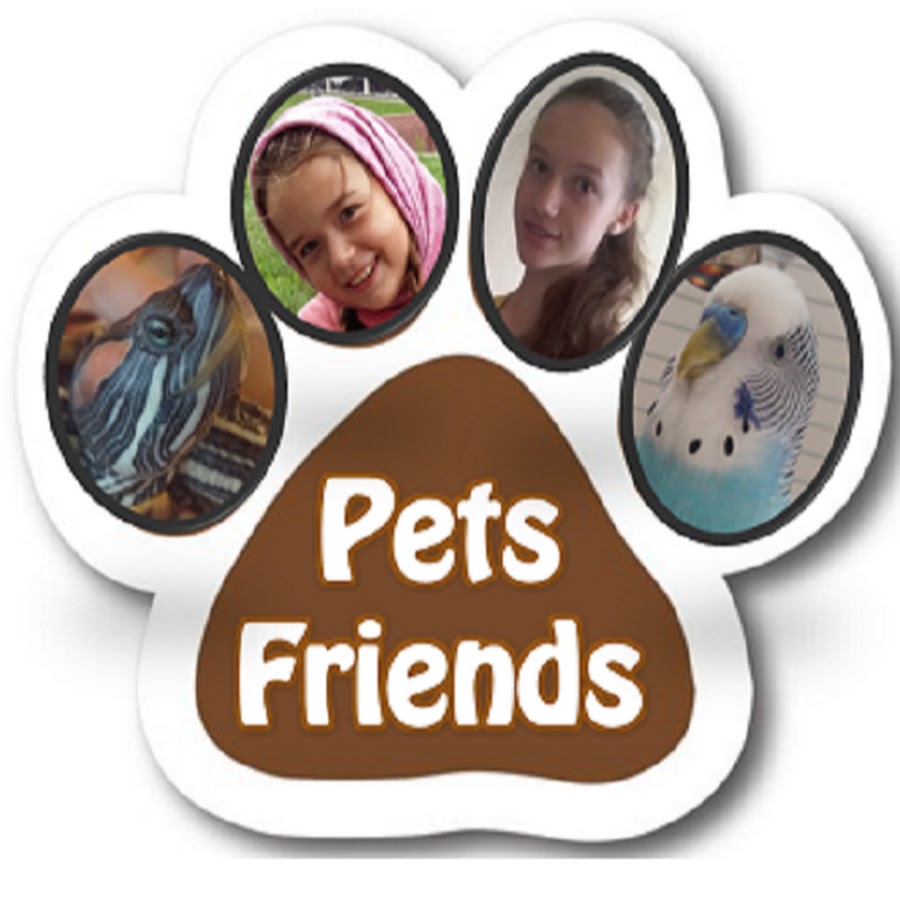 School pets friends. Friends for Pets внутри. Friends for Pets.