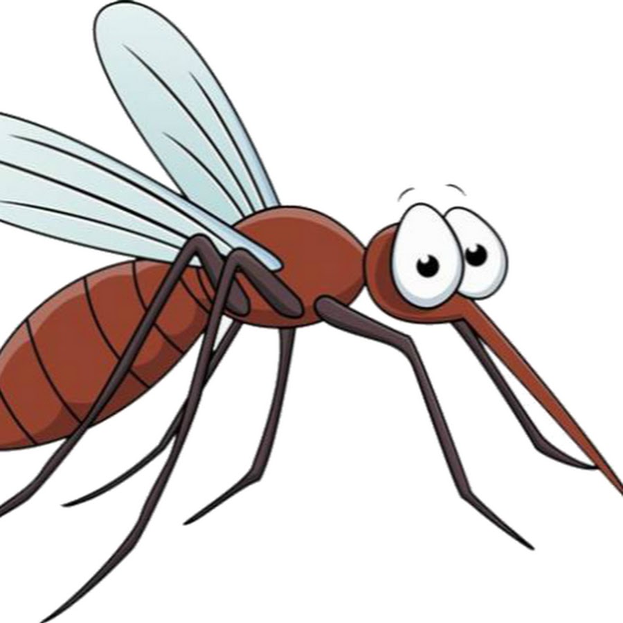 Изображение комара для детей