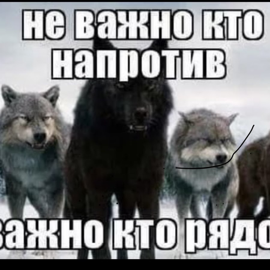 Не важно кто напротив важно кто рядом. Неважна кто на протиф важна кто рядом. Неважно кто напротив важно кто рядом. Не важно кто напротив важно кто рядом волки.