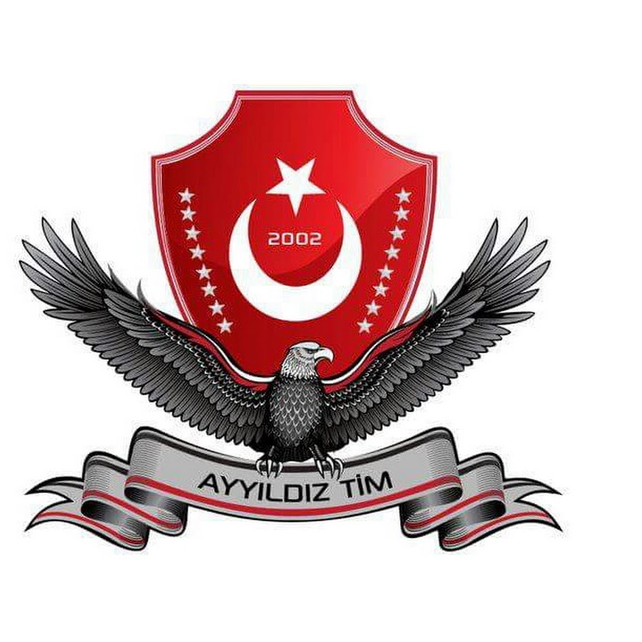 Ayyildiz tim. Ayyildiz logo. Логотип Ayyildiz Travel. Умра Ayyildiz LLC Trailer logo.