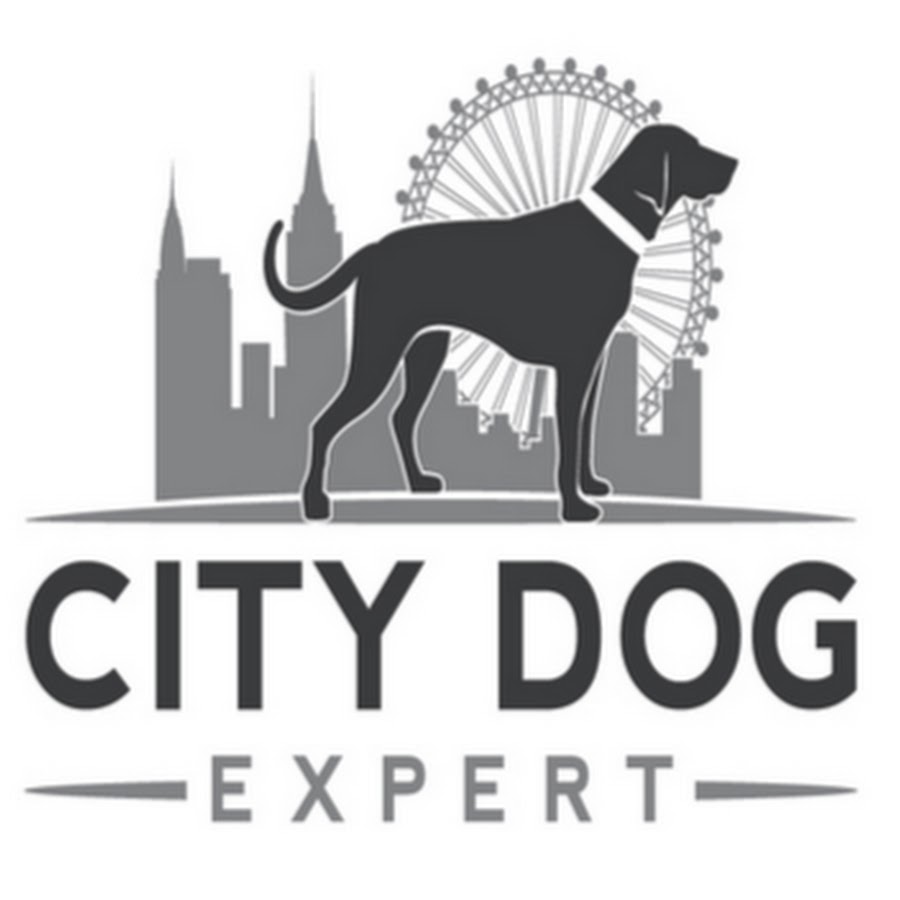 City dog. Дог Сити. Дог Сити Екатеринбург интернет магазин. Dogcity эмблема. Логотип дог Сити Екатеринбург.