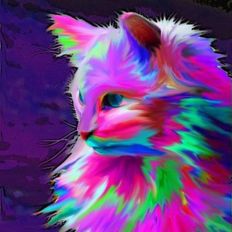 Рисунок разноцветный кот