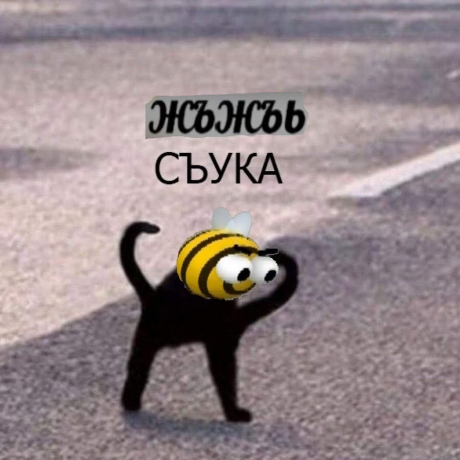 У сюка картинка