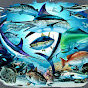 Ocean Adventures thumbnail