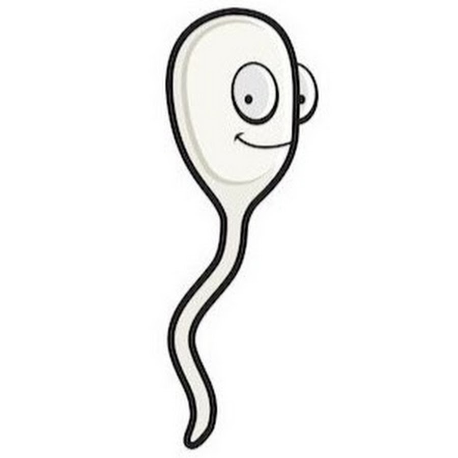 Сперматозоид мультяшный