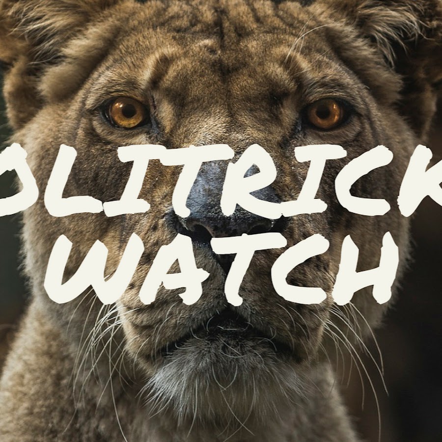Profile avatar of PolitricksWatch