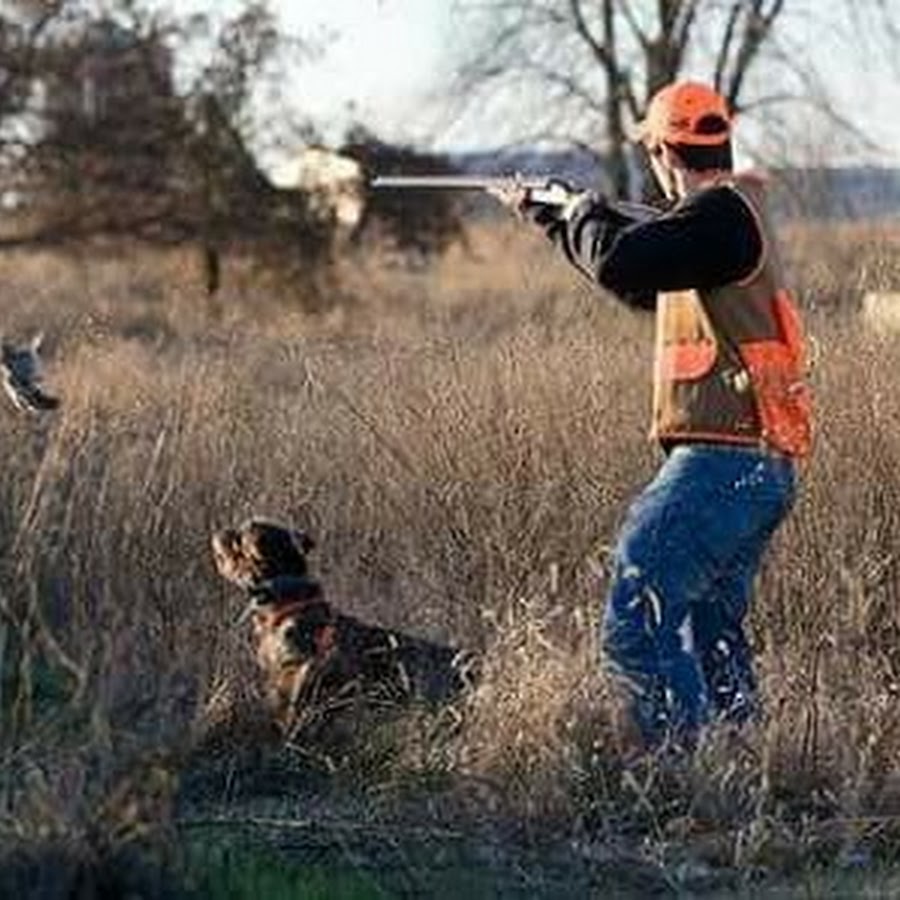 Av video. Охотничий сезон на Кипре. Обои на айфон охота. Duck Hunting Scarecrow. Hunting Quail.