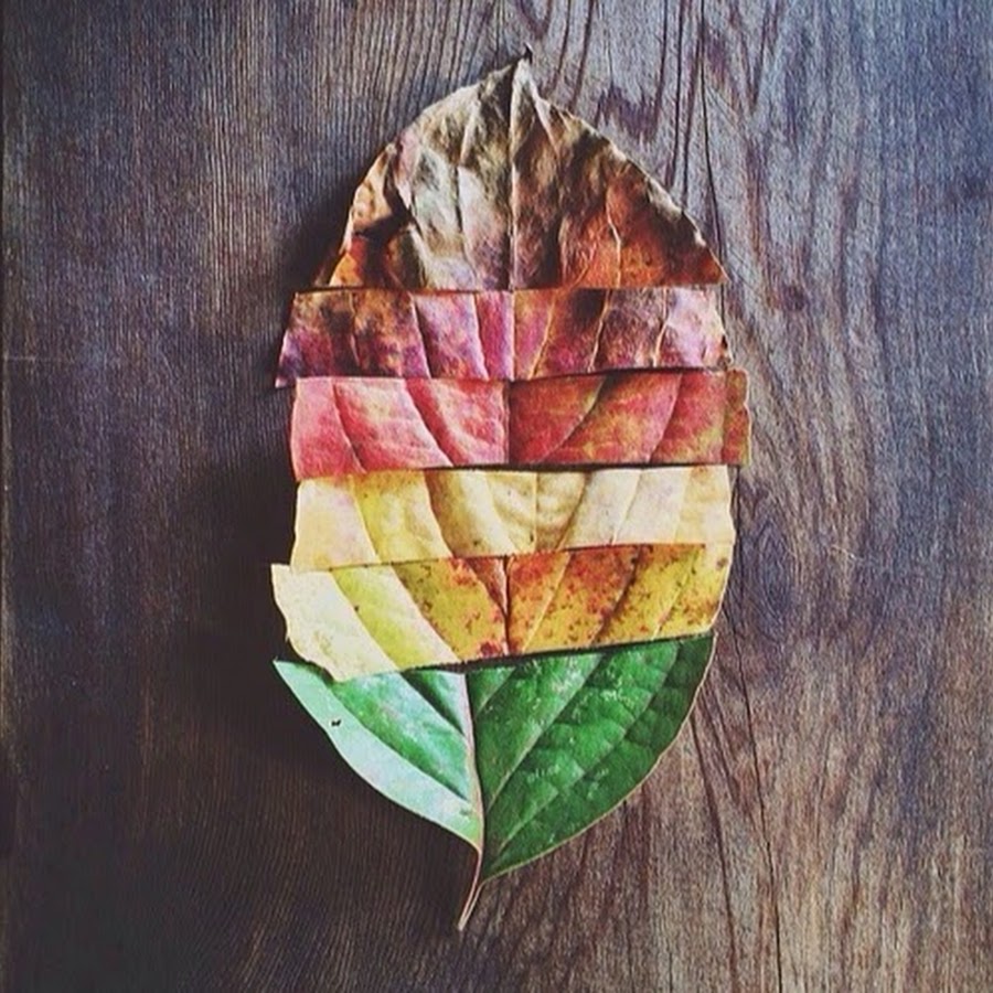 Осенние листья креатив
