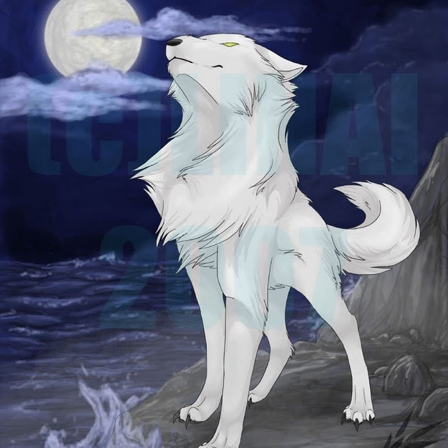 Волки Воители белая волчица