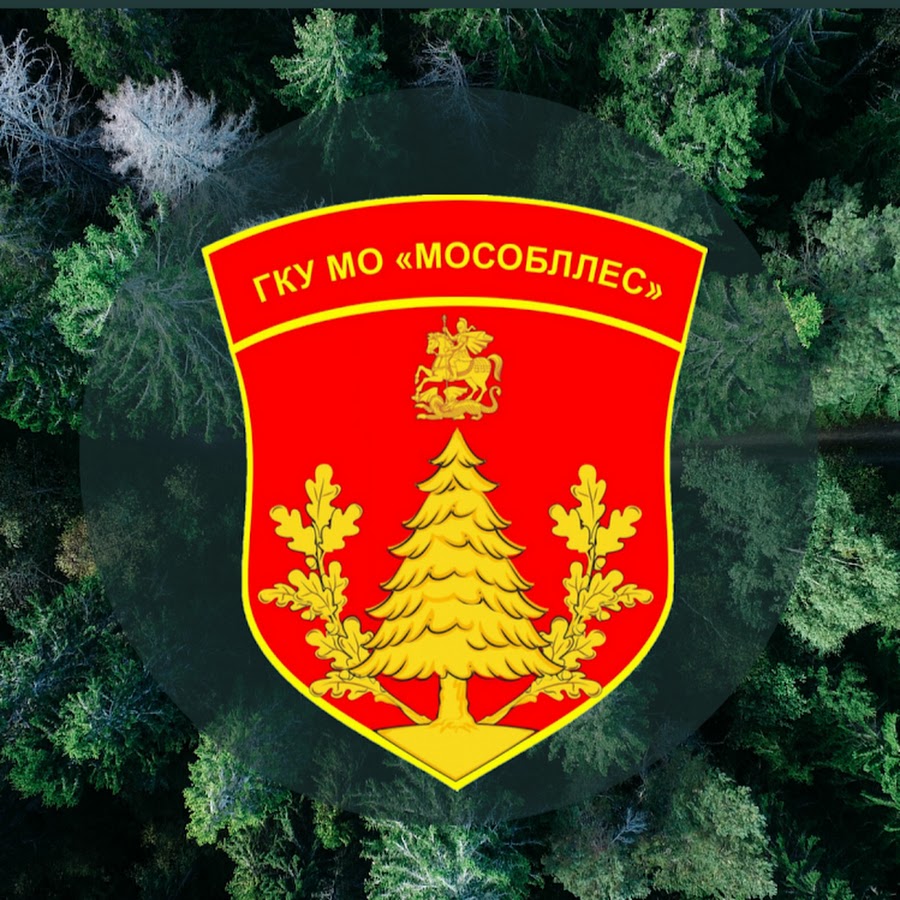 Эмблема комитета лесного хозяйства Московской области