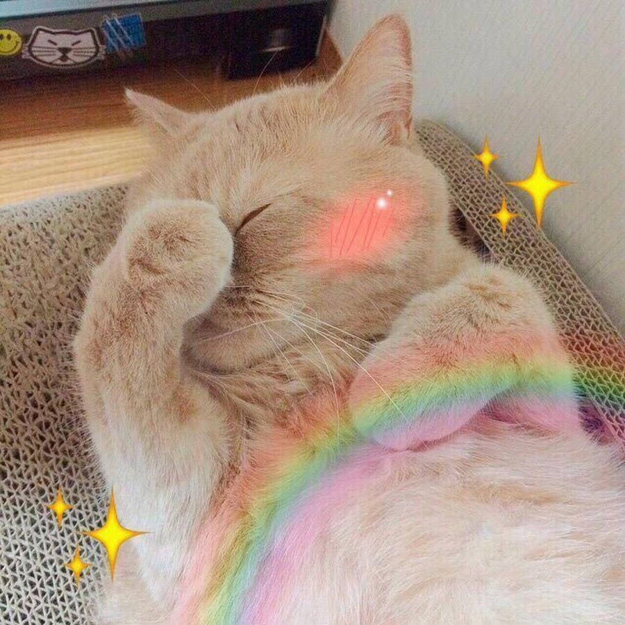🌸 miracle 🌸 - YouTube 