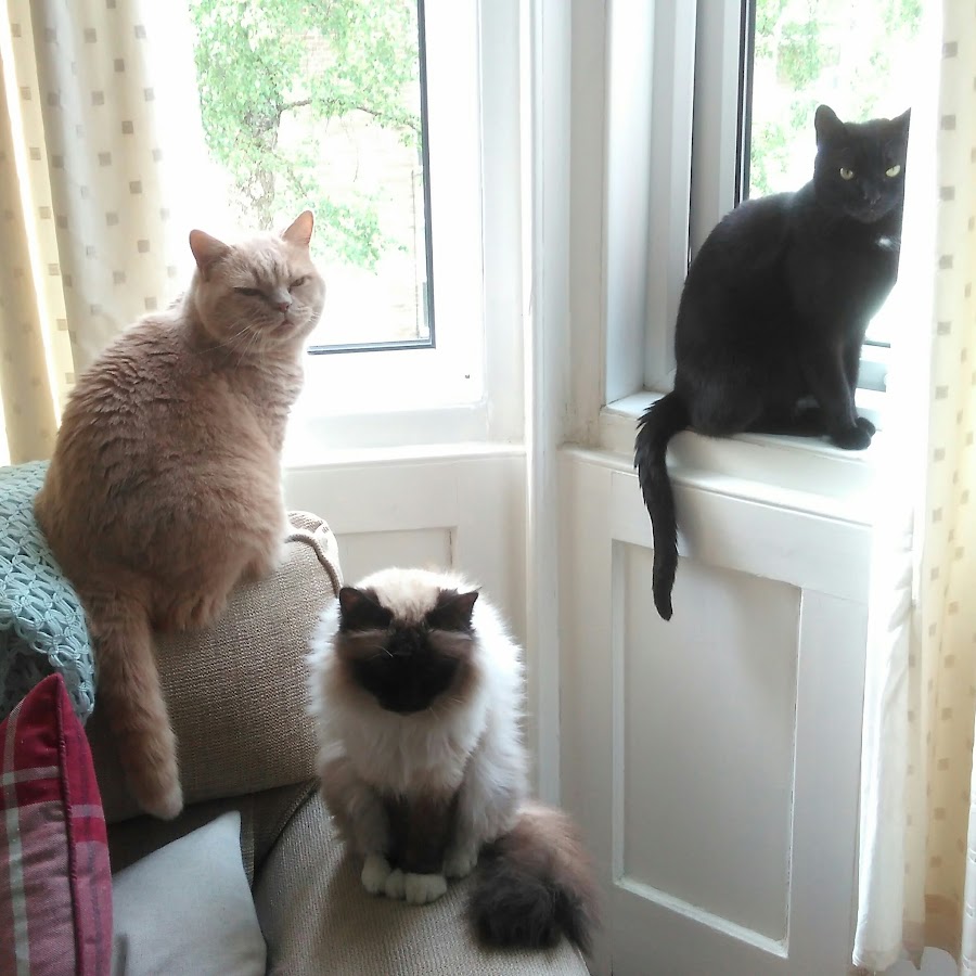 AGIKgqMIHbw_ryGra9rP2QqQc4Y3P2JE64FjCEo2Fkiv=s900ckc0x00ffffffnorj