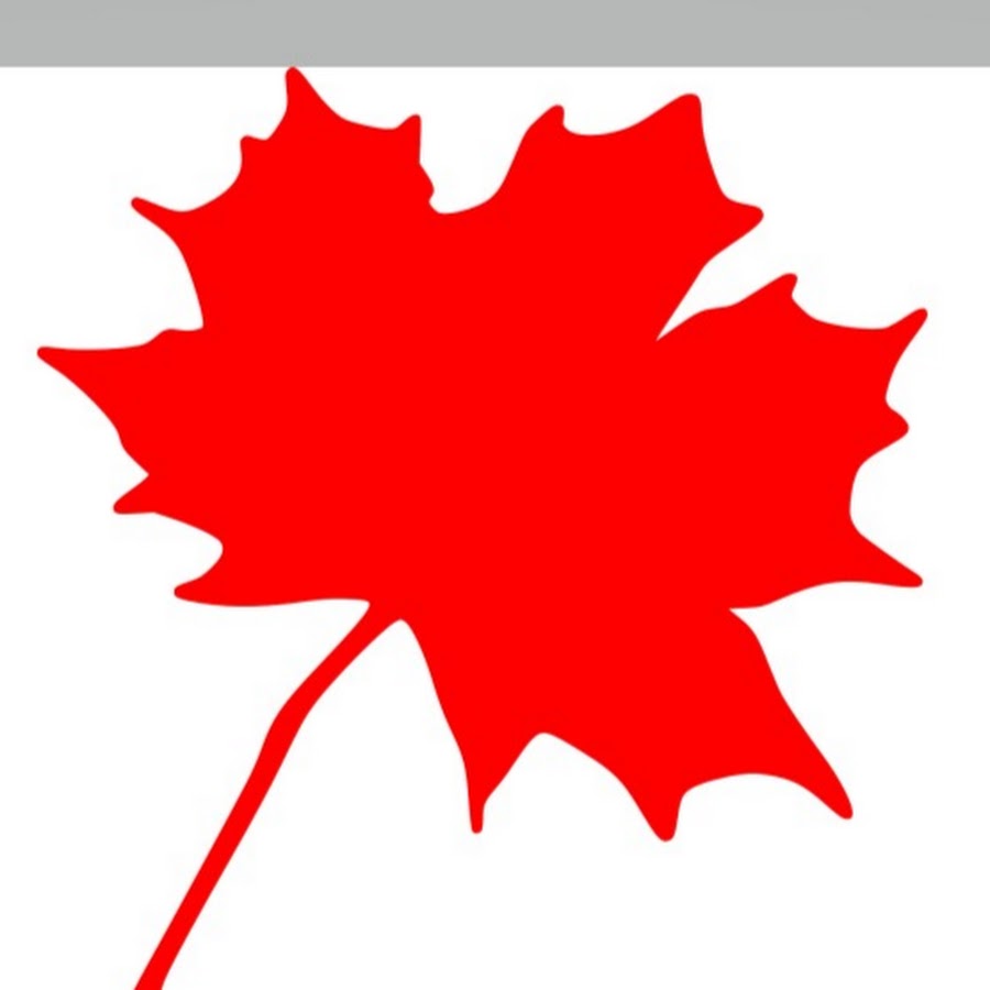 Канадский клен лист