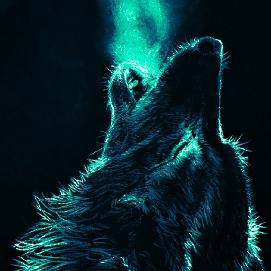 Черный волк воет