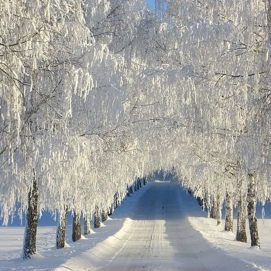 красивая русская зима