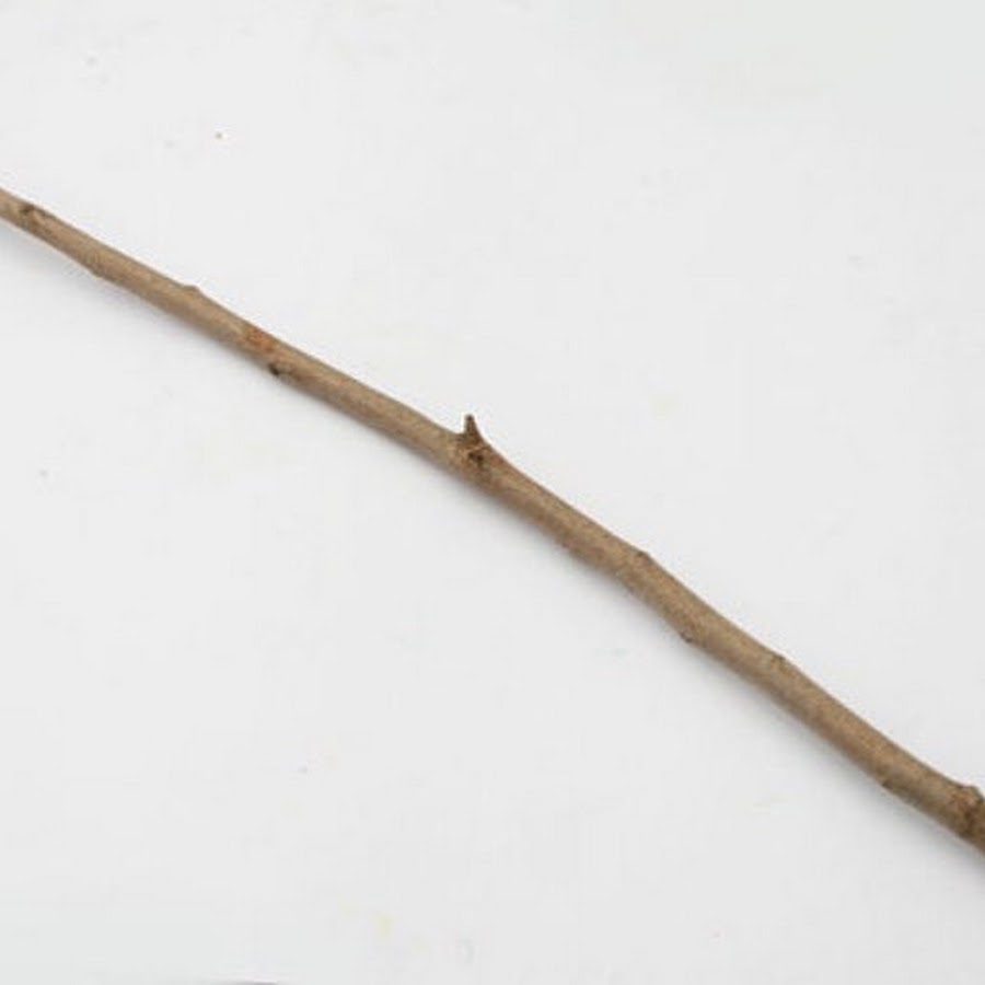 Палка деревянная с ветки