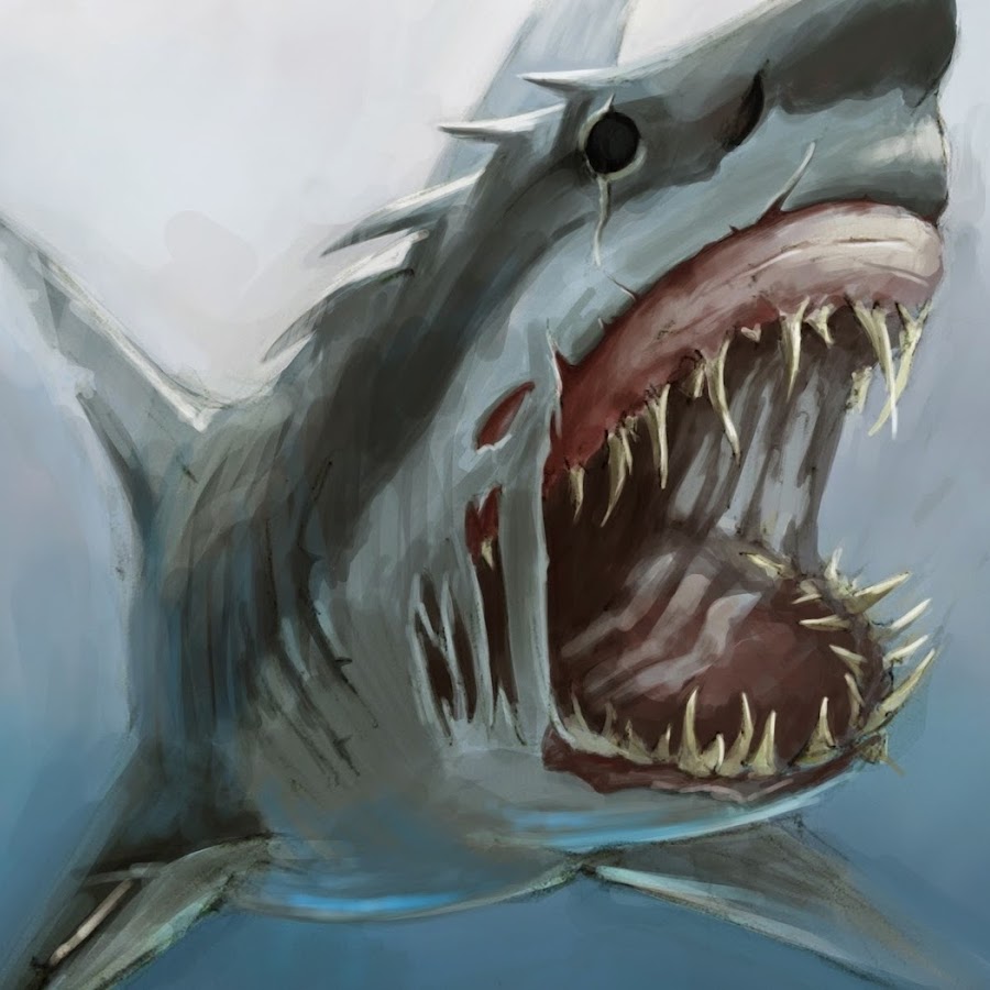Белая акула арт