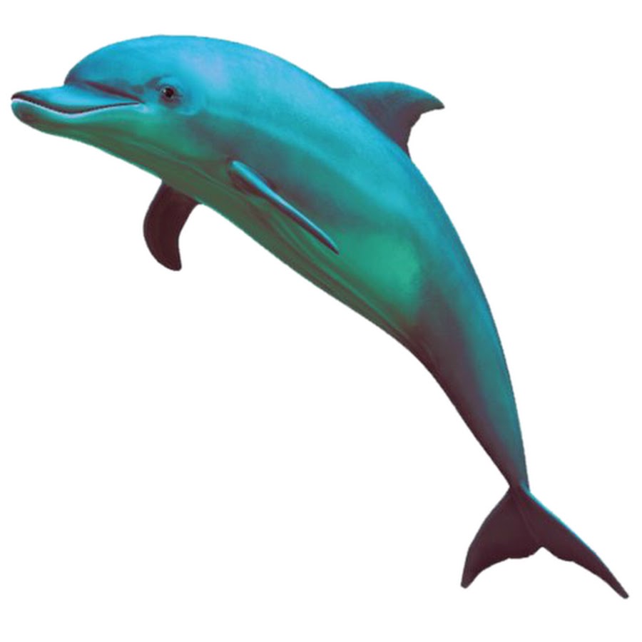Дельфин вапорвейв