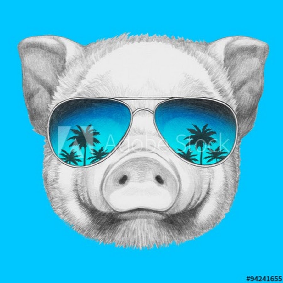 Свинка в солнечных очках