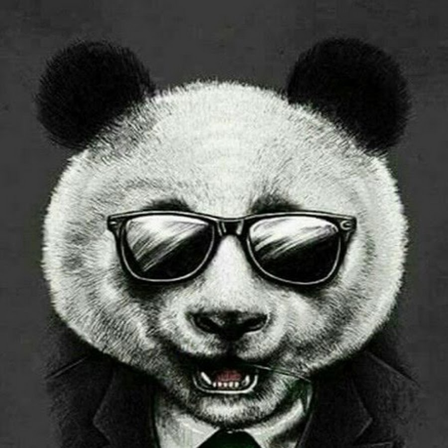 Картинка панда в очках