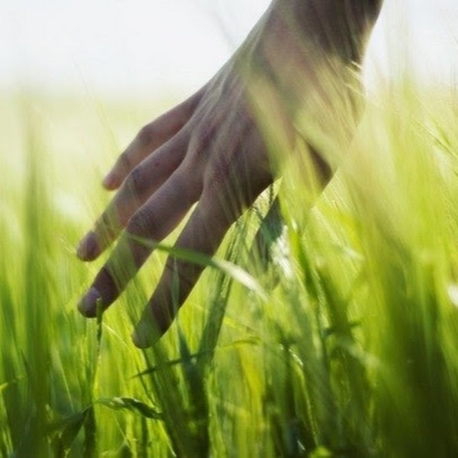 Руки на траве
