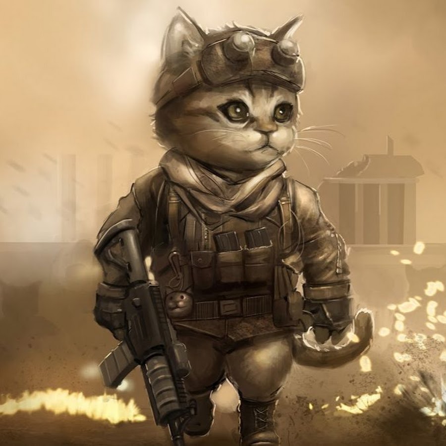 Кот воин
