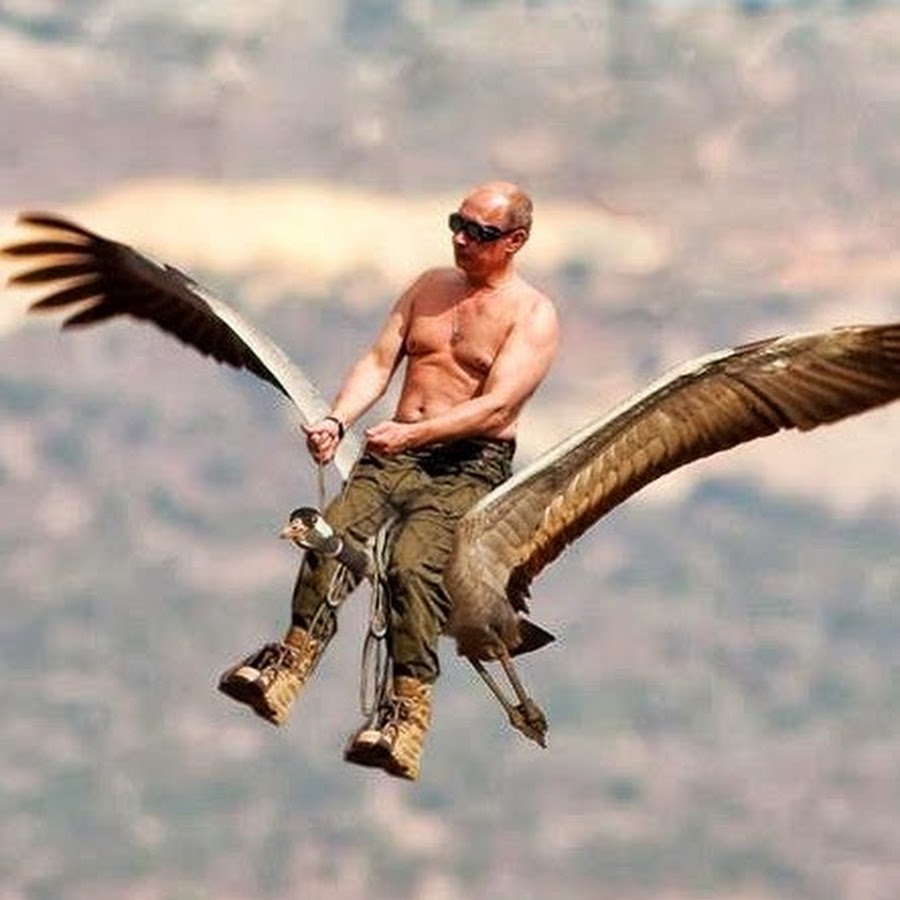 Путин вожак Стерхов
