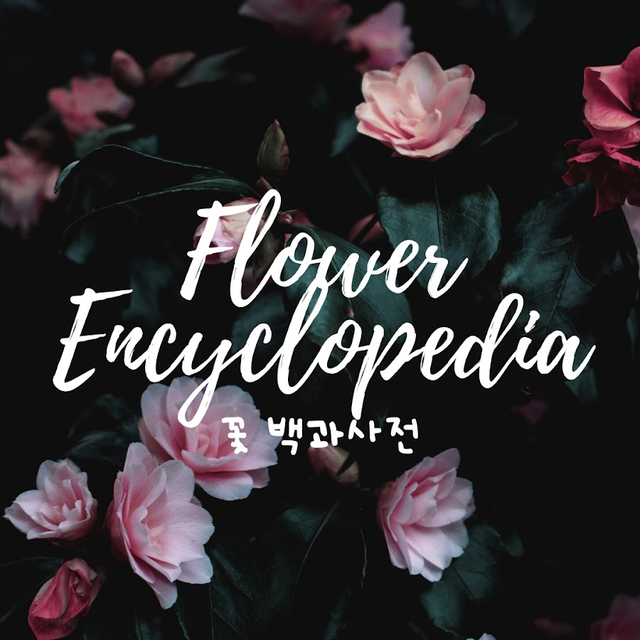 꽃 백과사전. Flower Encyclopedia - Youtube