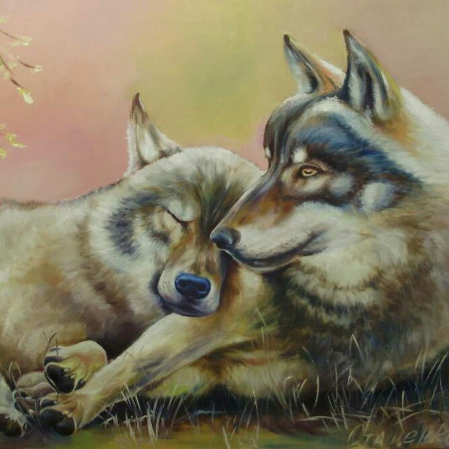 Картина волк и волчица