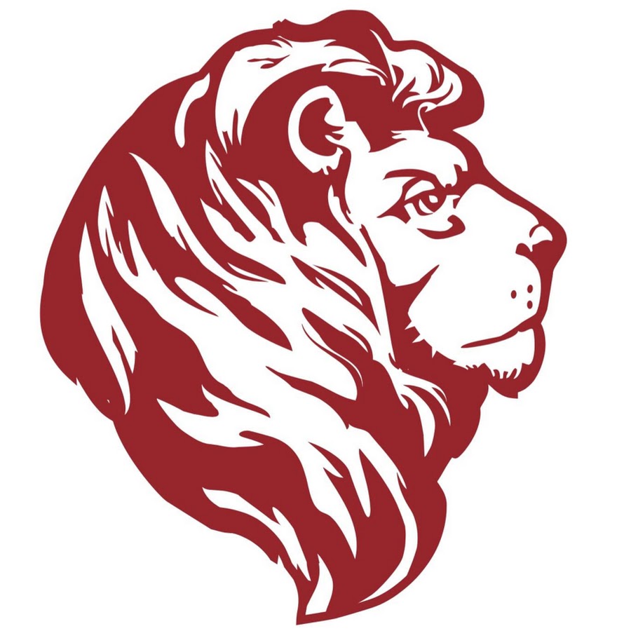 Lion academy