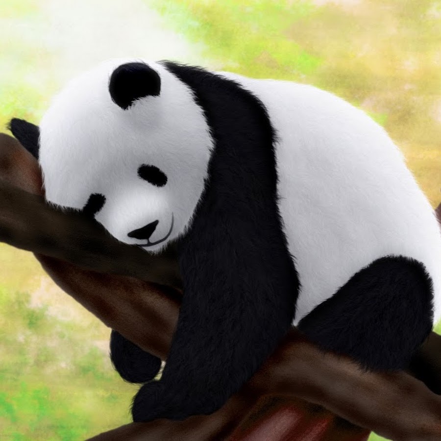 Панда на ветке