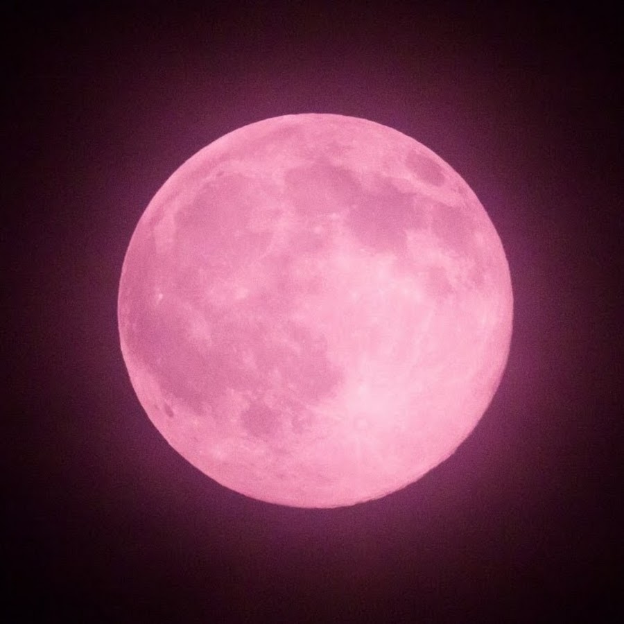 Одинокая луна розовая. Розовая Луна. Рощовая Луня. Розовое полнолуние. Полнолуние розовая Луна.