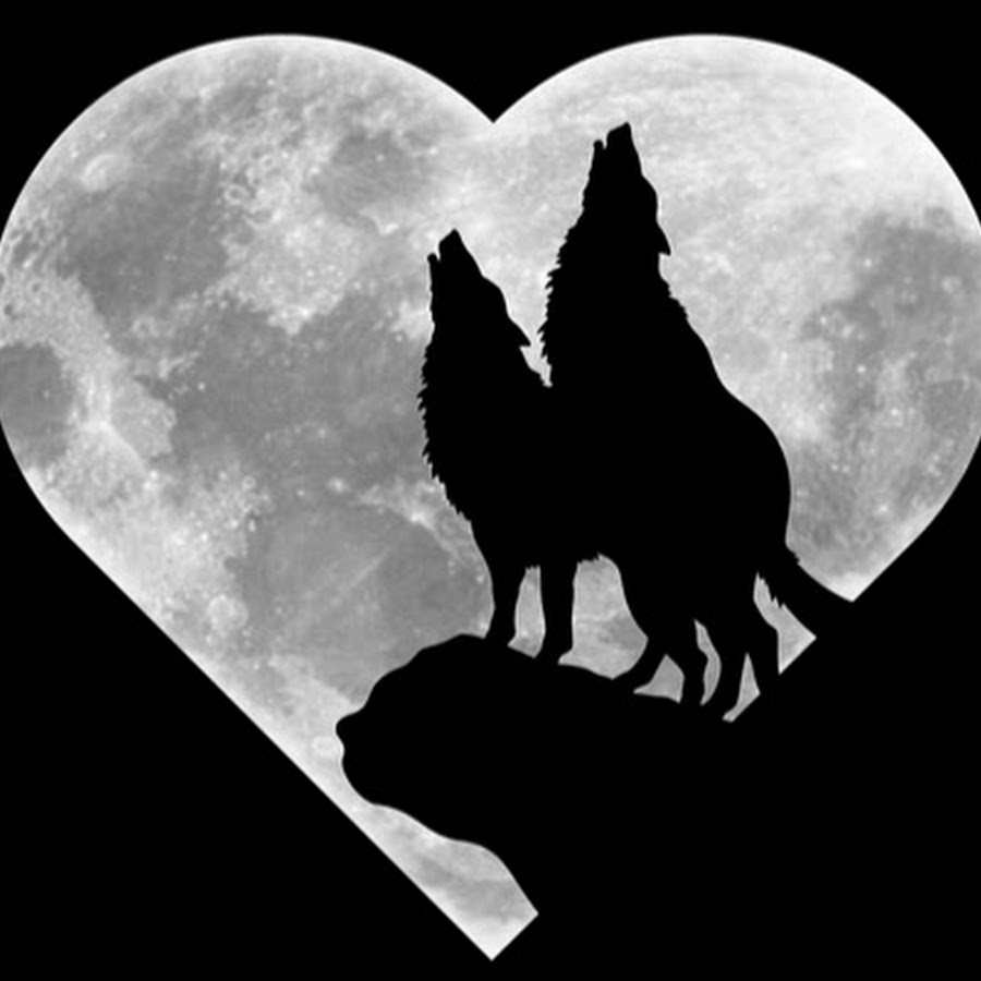 Wolf heart. Два волка воют на луну. Сердце волка. Силуэт двух Волков. Пары животных силуэт.