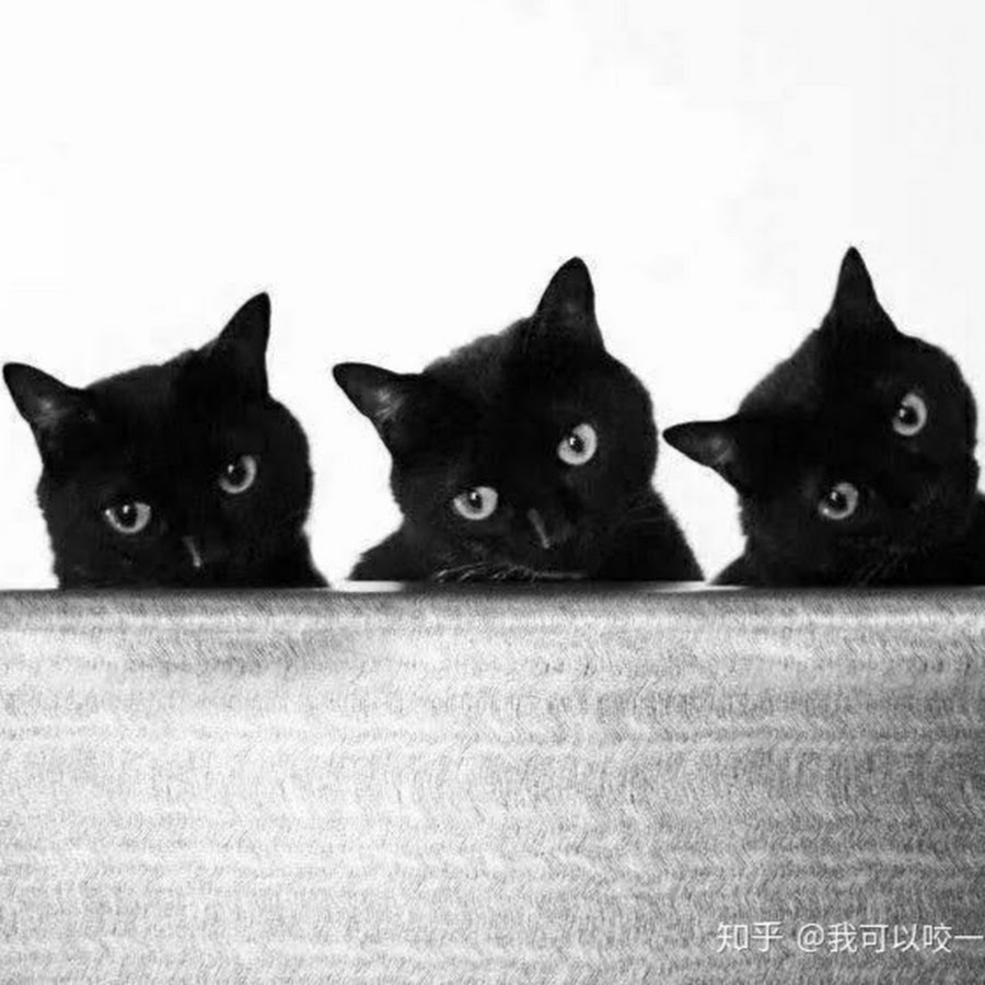 Три черных кота