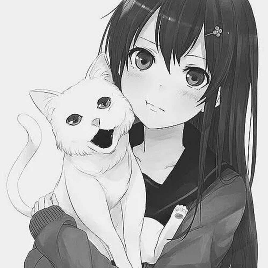 Девочка котик рисунки аниме
