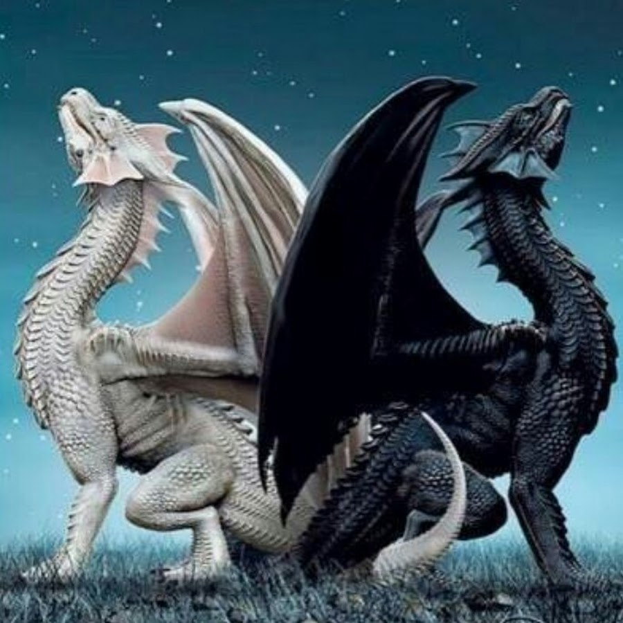 Близнецы драконы