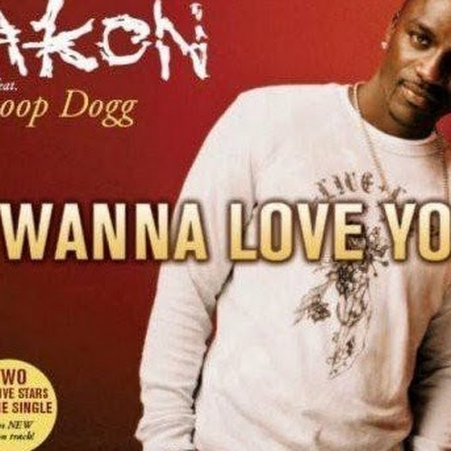 Dogg feat. Akon Snoop Dogg. Akon Snoop Dogg i wanna Love you. Akon feat. Akon альбомы.