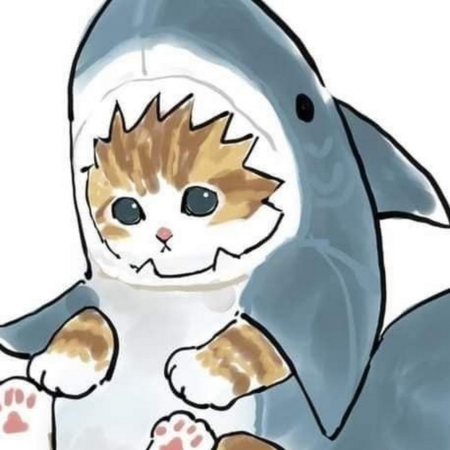 Кот в костюме акулы рисунок