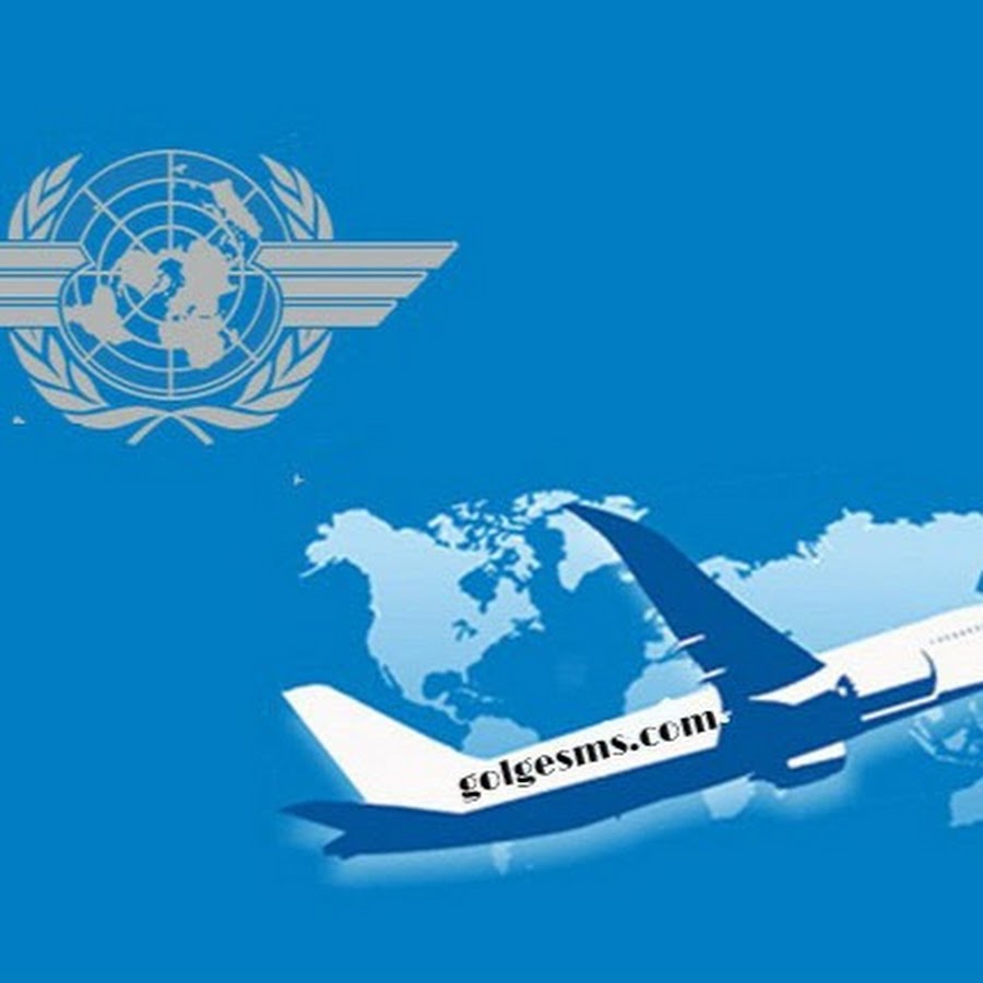 ИКАО Международная организация