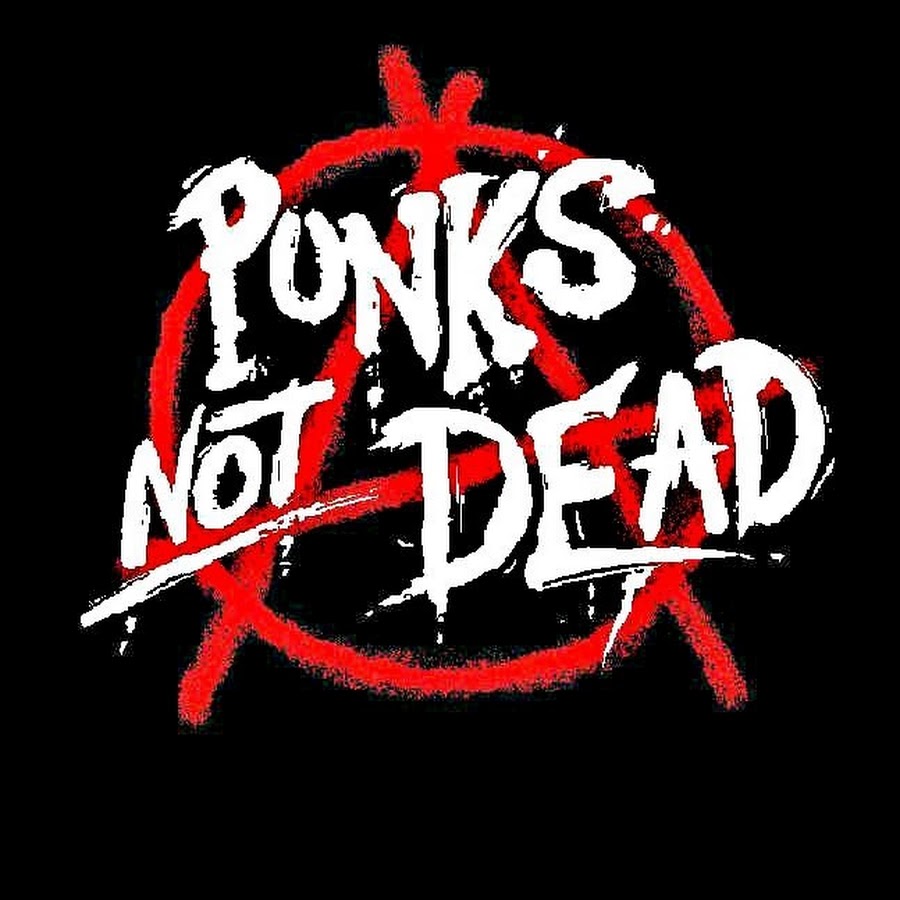 Картинка punks not dead