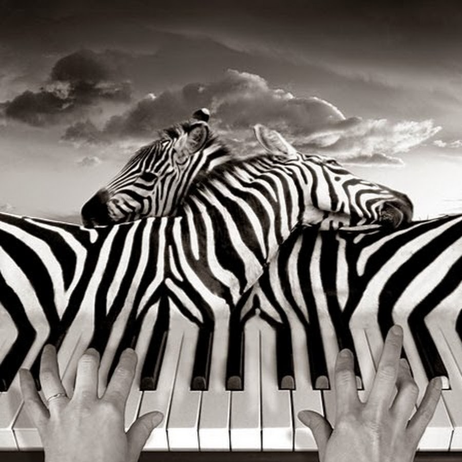 Thomas Barbey