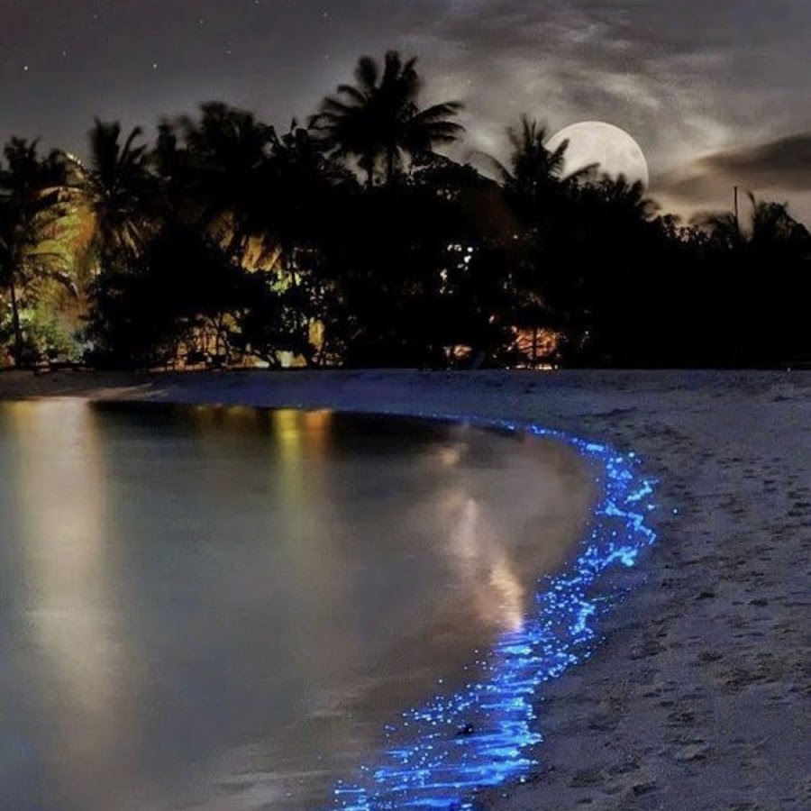 Мальдивы остров Ваадху звездное небо