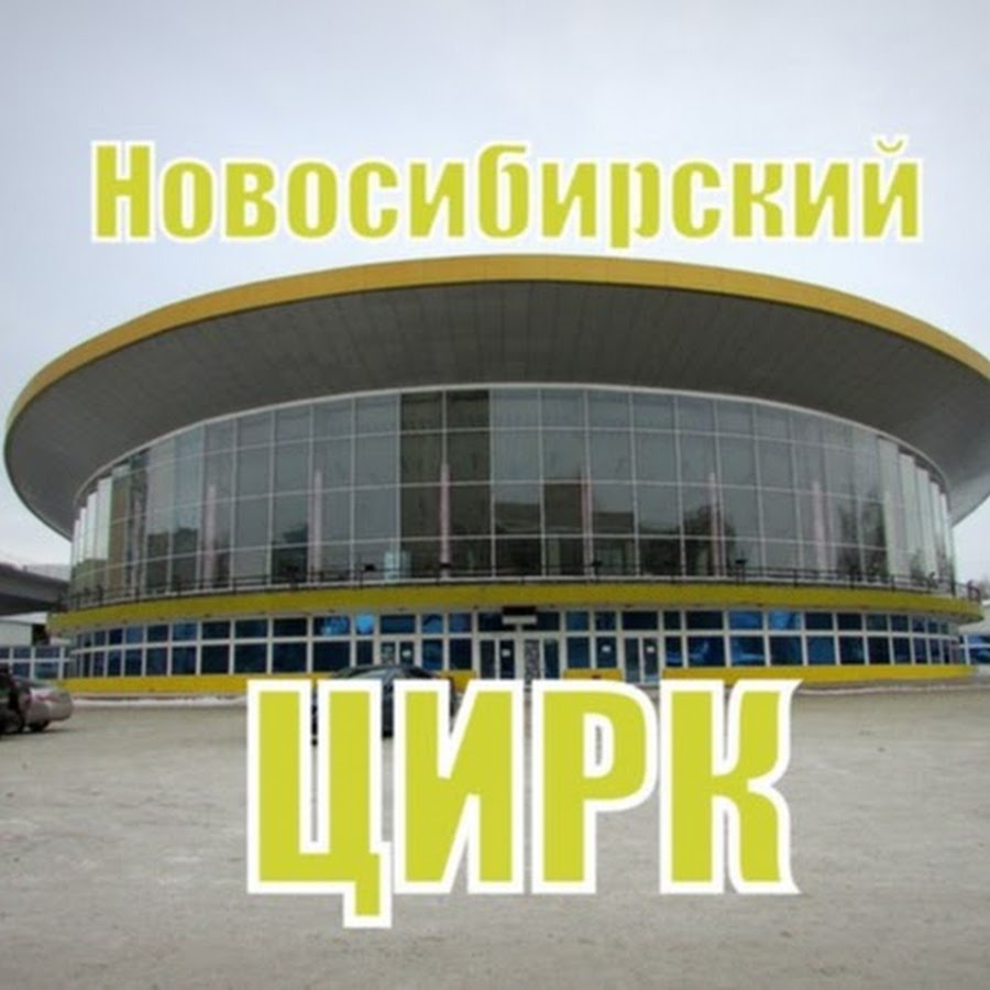 Новосибирский цирк картинки