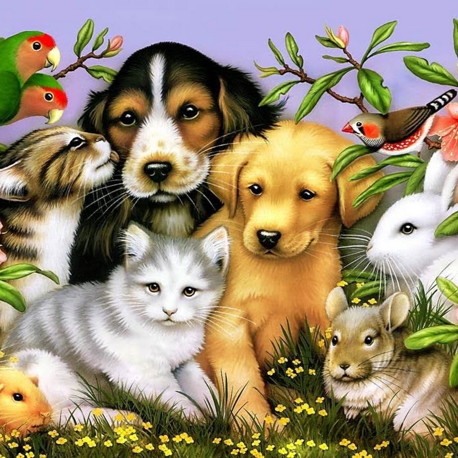 Всемирный день домашних животных