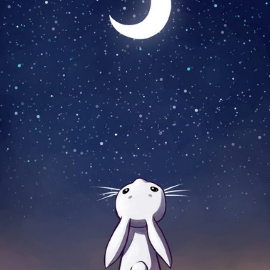 Moon bunny