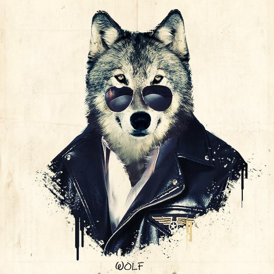 Wolf steam profile фото 65