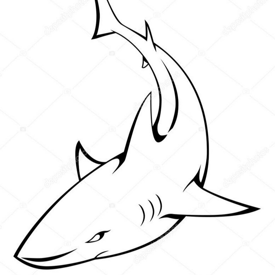 Эскиз акула контур