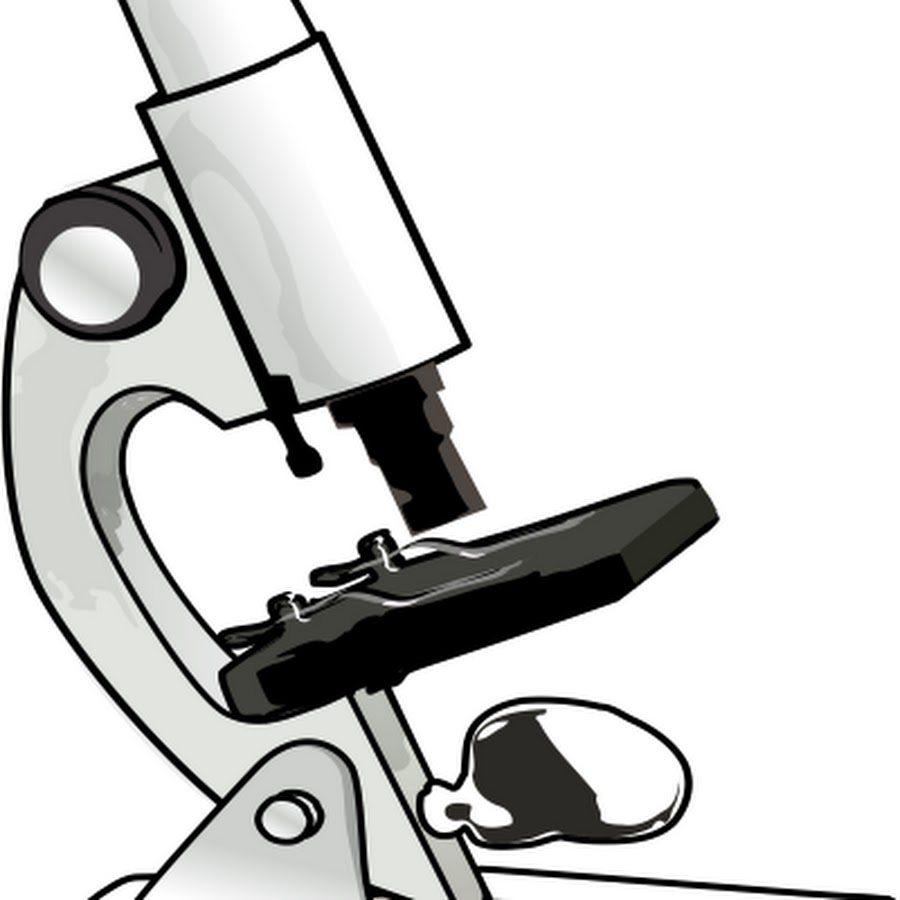 Картинка микроскоп для детей на прозрачном фоне