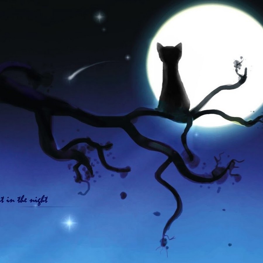 Кот на дереве Луна ночь