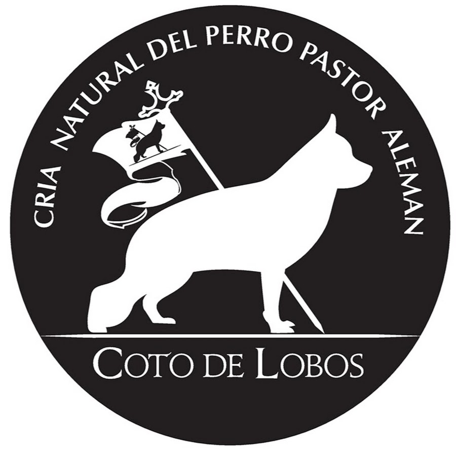 Coto de Lobos - YouTube